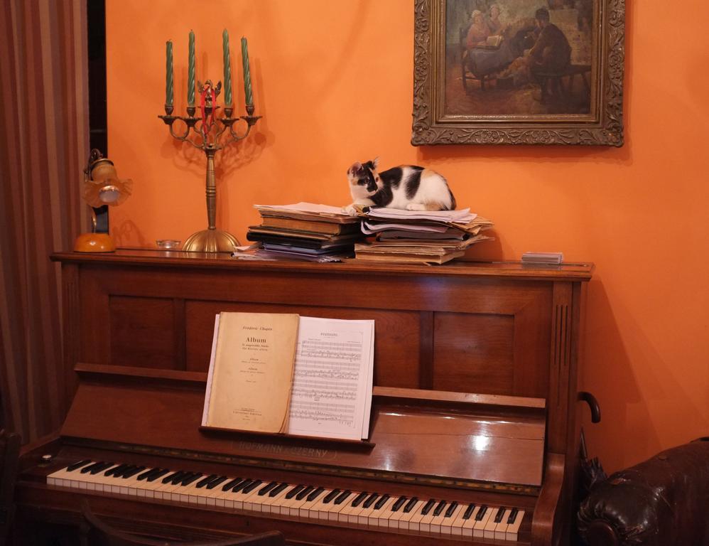 Piano Guest House Краків Екстер'єр фото
